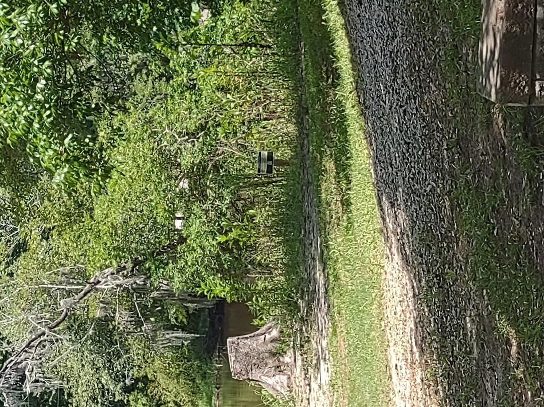 Colleton State Park景点图片