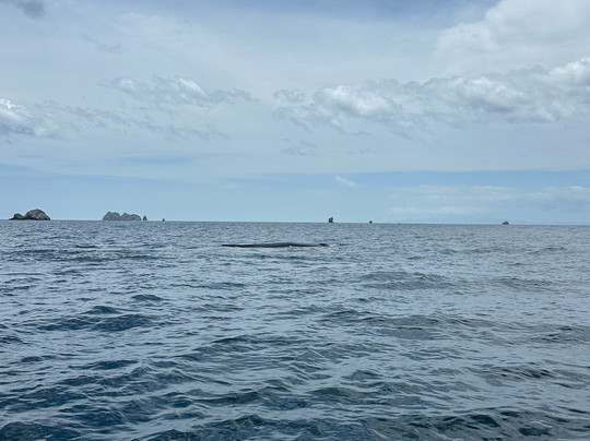 Remember Costa Rica-塔马林多必去景点