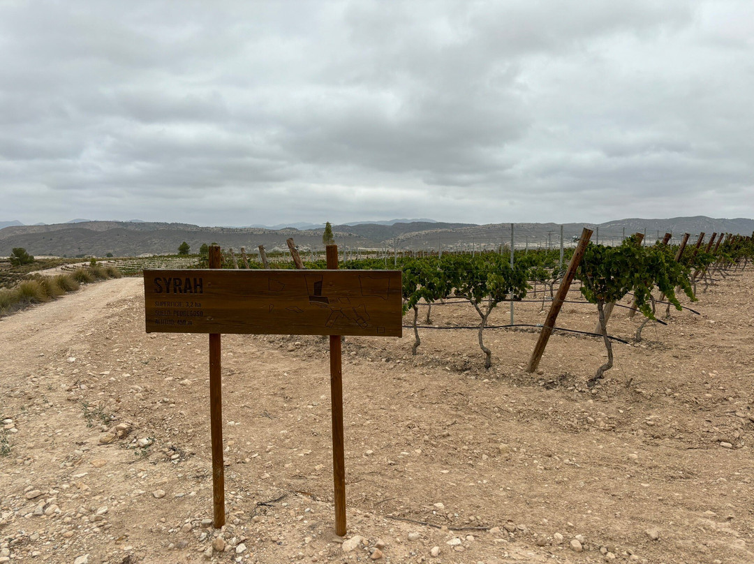 Casa Rojo-Jumilla必去景点