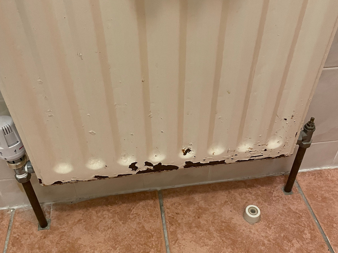 Ardilaun Guesthouse主图