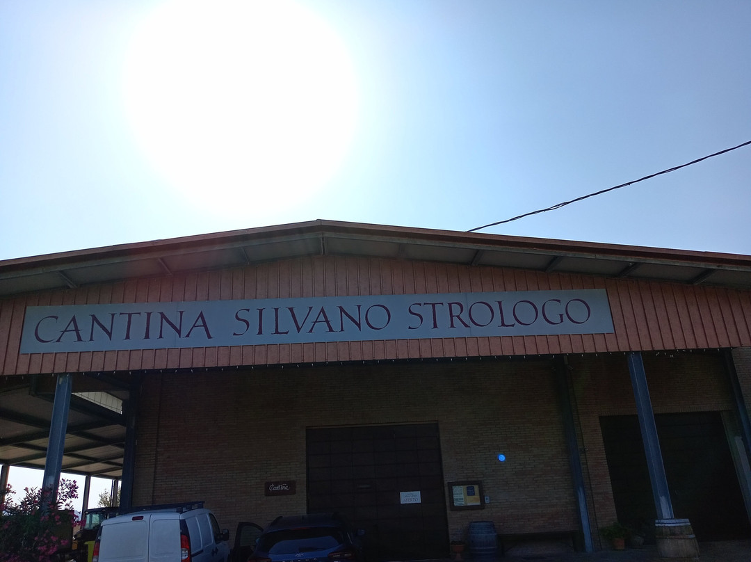 Cantina Strologo Silvano景点图片