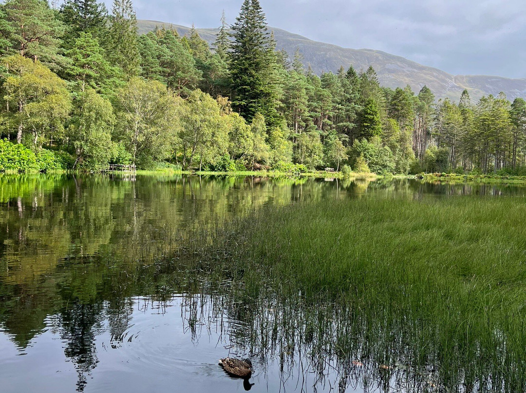 Glencoe Lochan景点图片