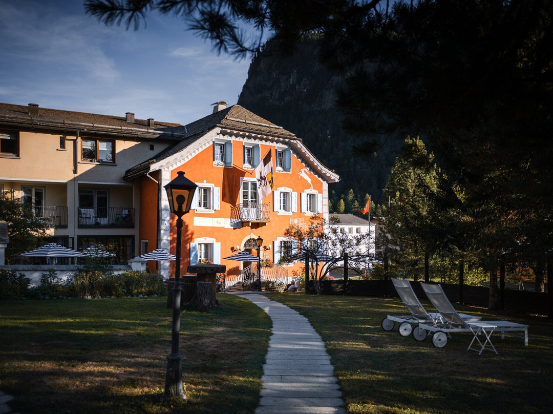 Pontresina酒店住宿-Hotel Steinbock