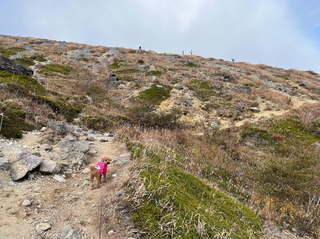 Mount Nasudake-那须町必去景点