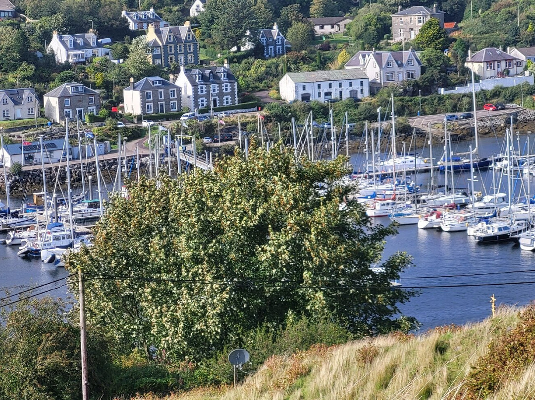 The Tarbert Hotel主图