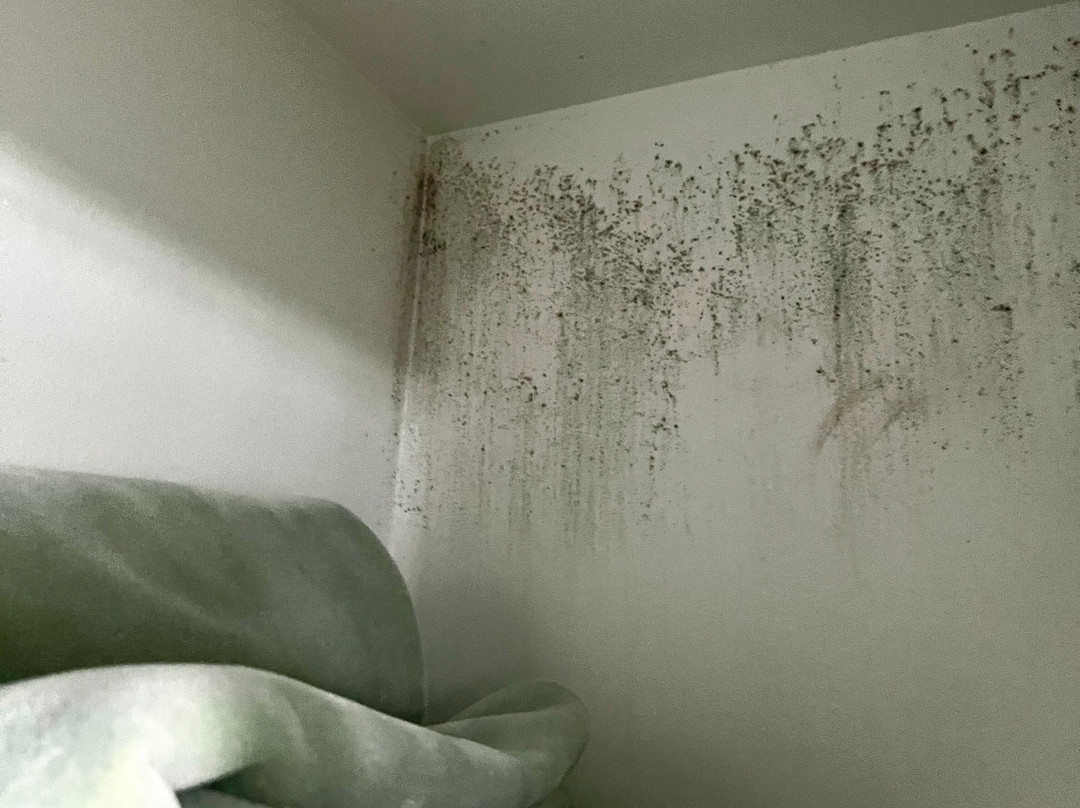 Sea Oats Beach Club主图