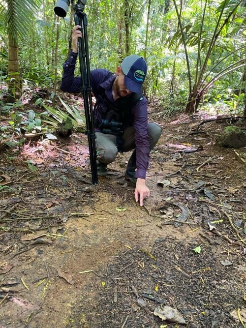 Tirimbina Rainforest Lodge主图