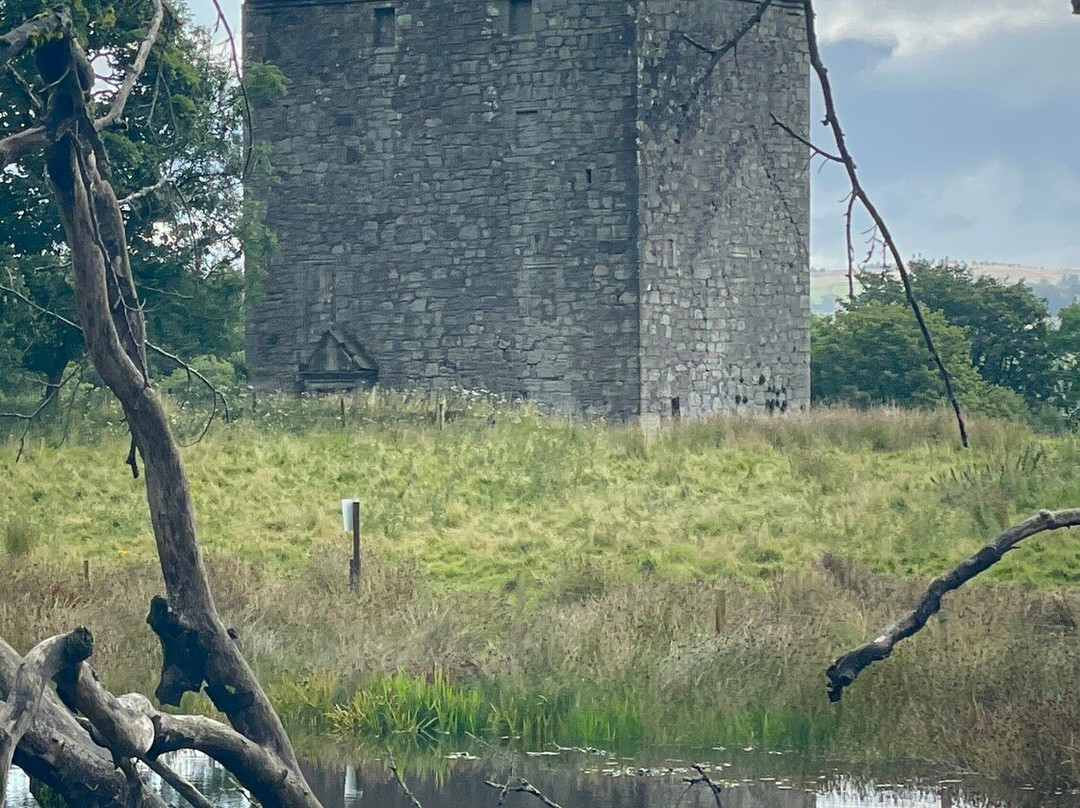 RSPB Lochwinnoch Nature Reserve景点图片