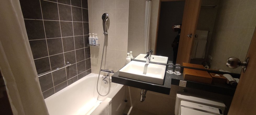 京都丽嘉皇家酒店-浴室