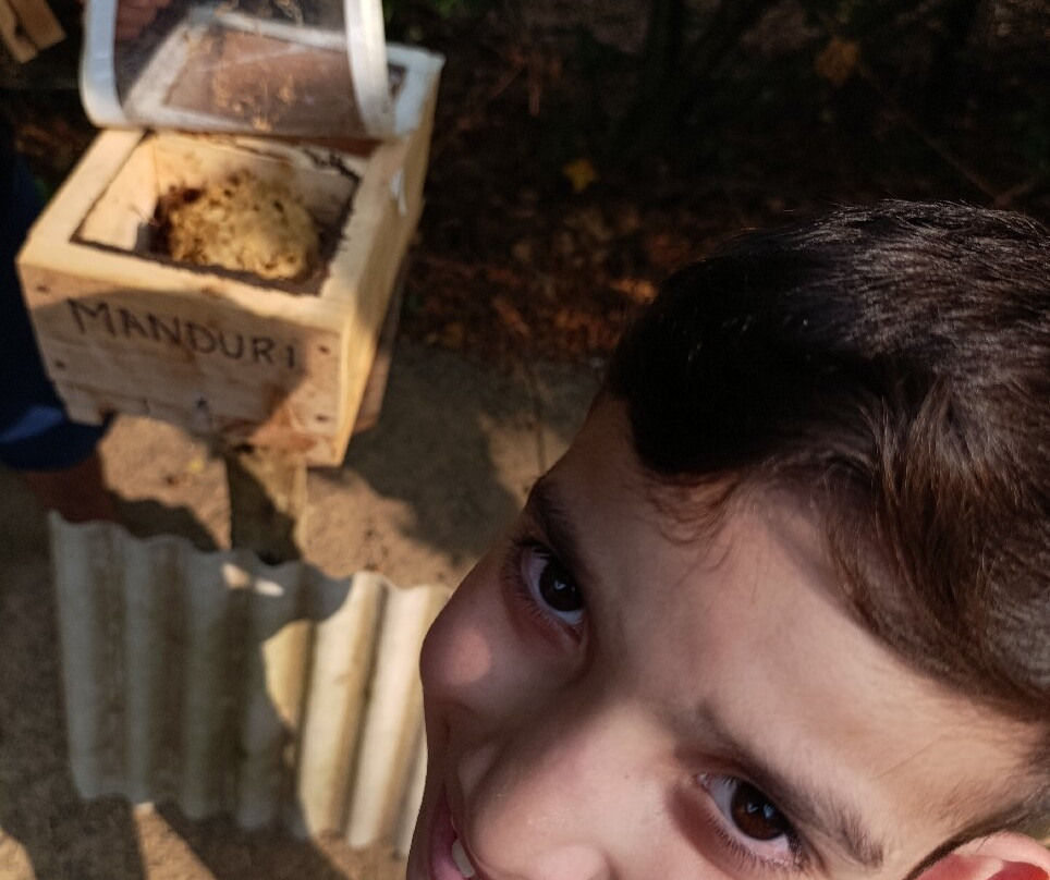 Apiário Flores da Serra-蒙特贝尔德必去景点