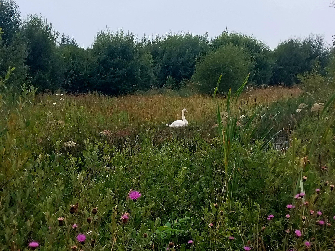Lough Boora Discovery Park-Tullamore必去景点