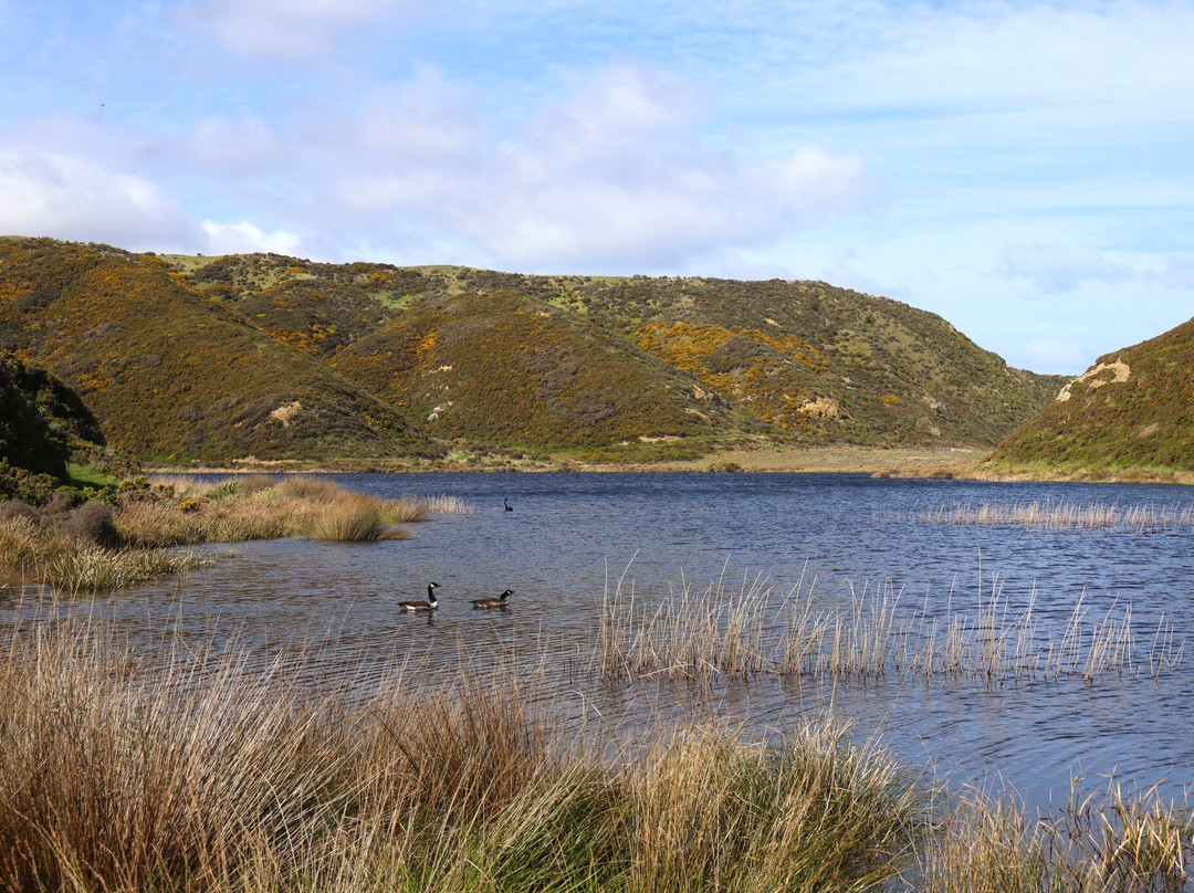 East Harbour Regional Park景点图片