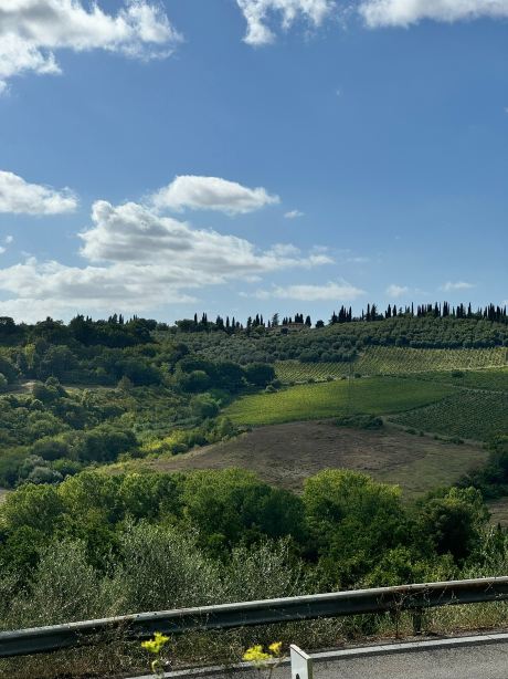 Il Palagione-官方