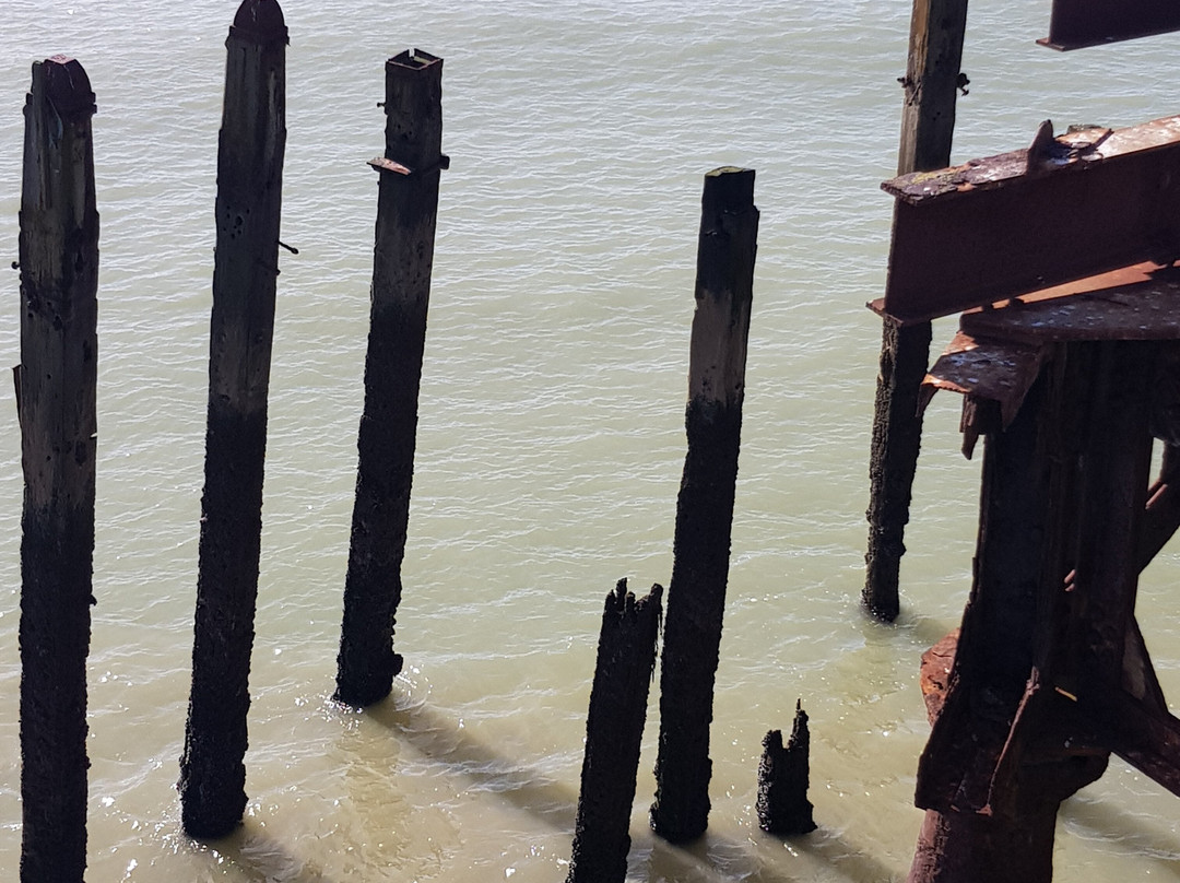 Hastings Pier景点图片