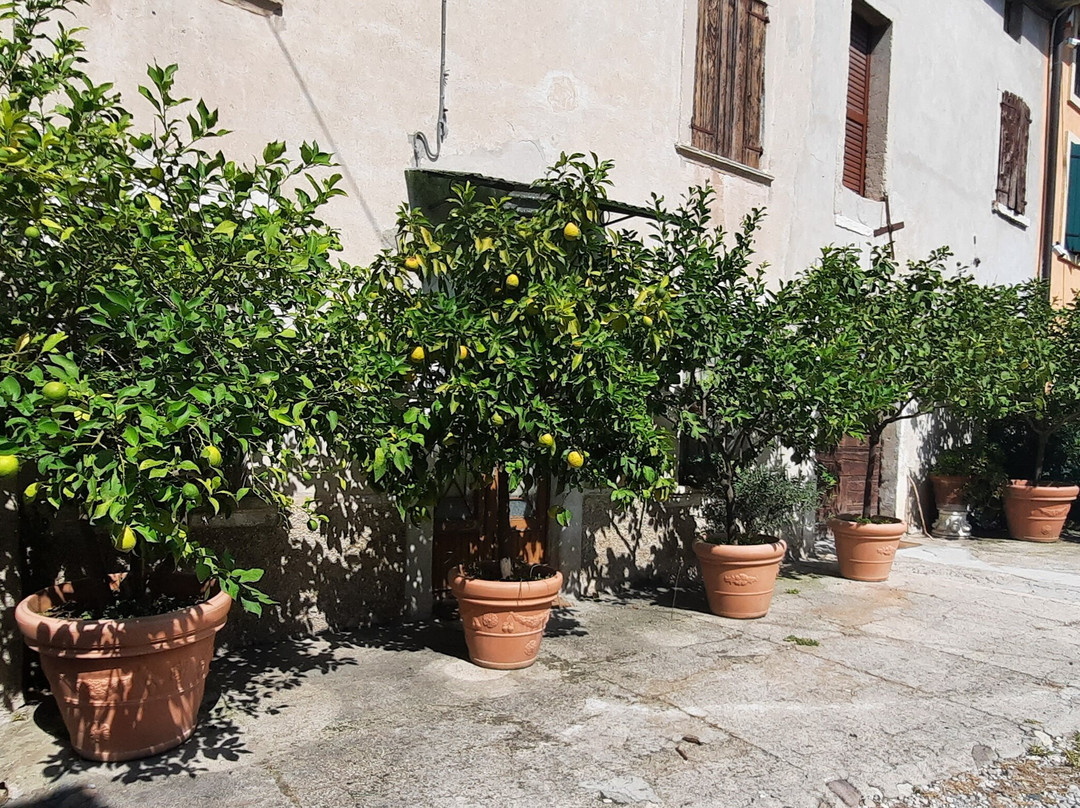 Agriturismo Corte Zenati主图