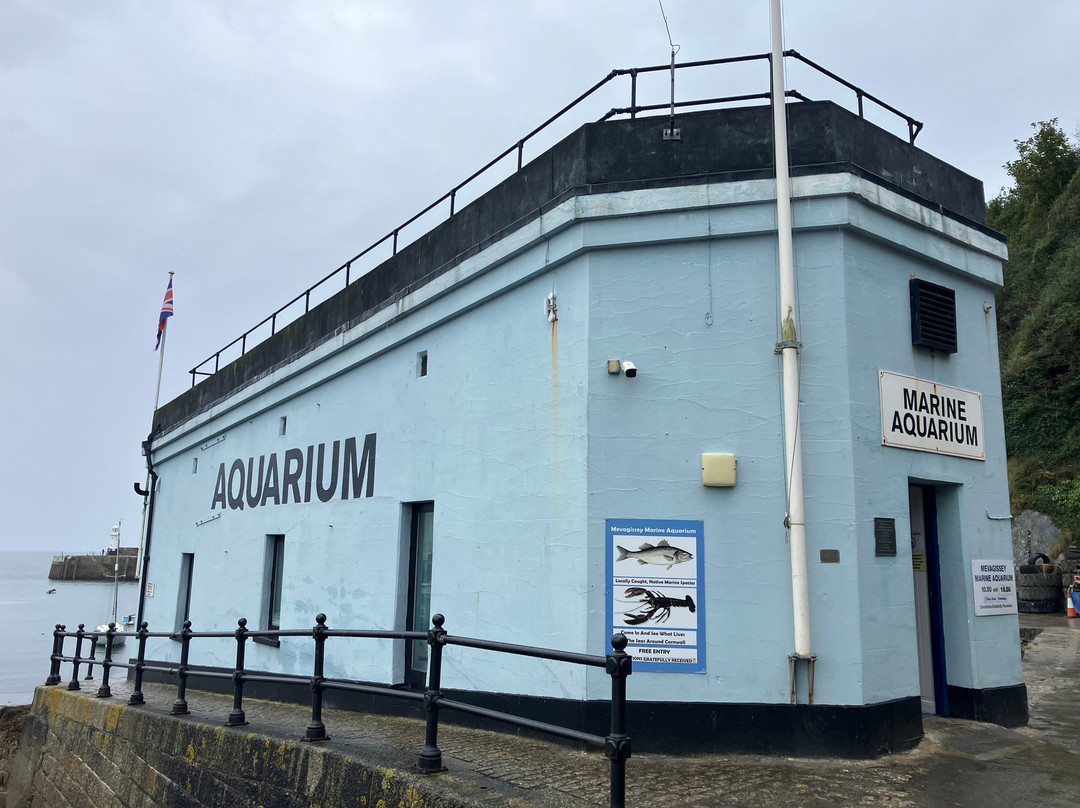 Mevagissey Aquarium-梅瓦吉西必去景点