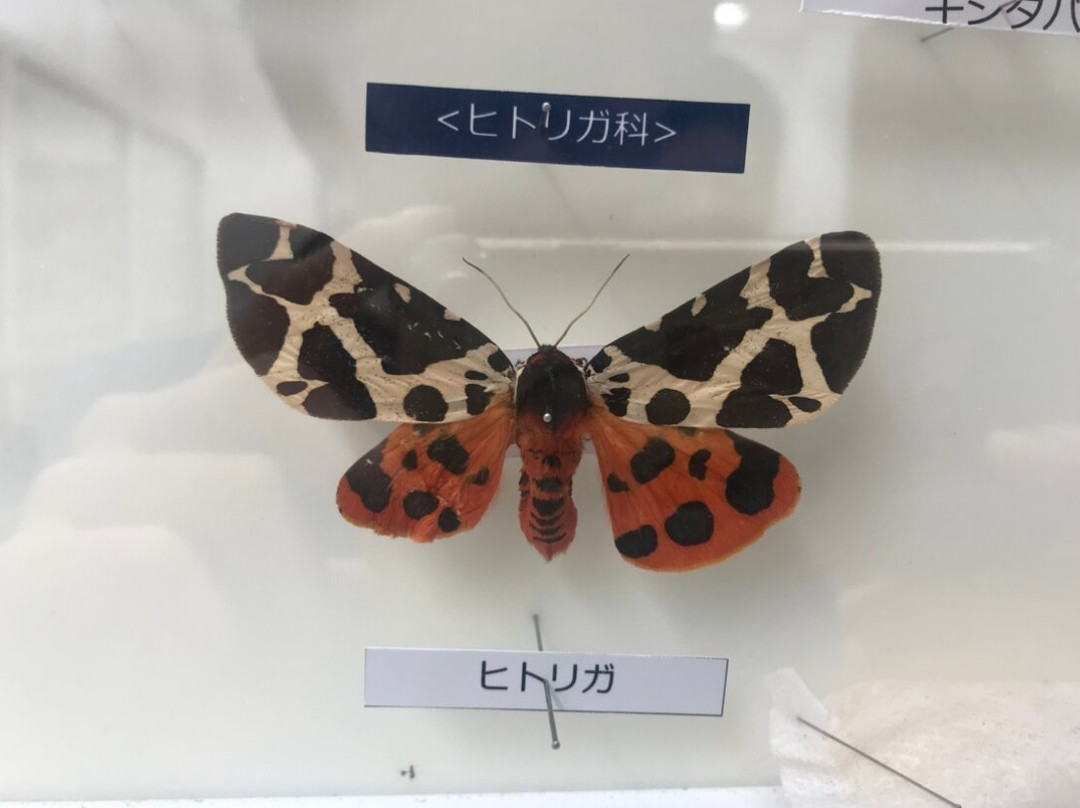 Furusato Ikimononosato Omurasakikan-栗山町必去景点