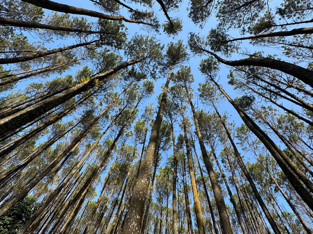 Bejo Rent Car-Potorono必去景点