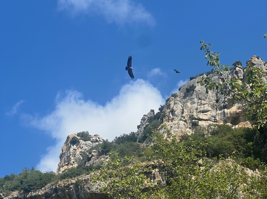 Foz de Lumbier-Lumbier必去景点