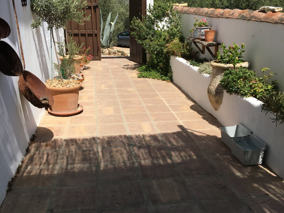 Gourmet B&B Finca Las Encinas主图