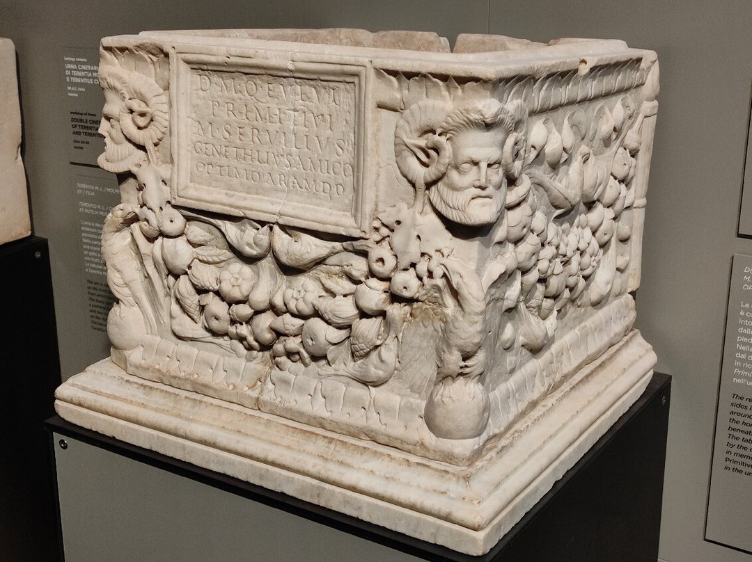 Museo Nazionale Giovanni Antonio Sanna-萨萨里省必去景点