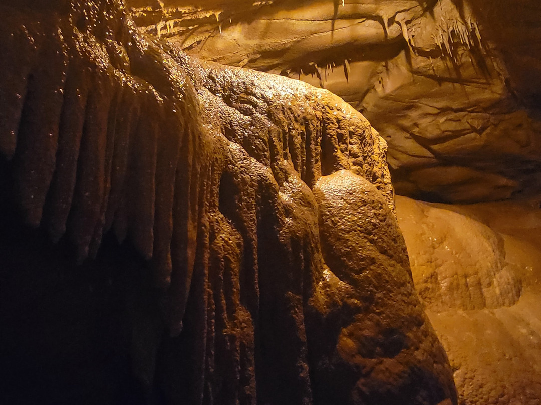 Squire Boone Caverns-Mauckport必去景点