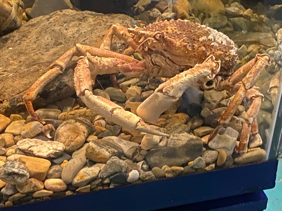 Ocean Lab - Sea Trust Wales-Goodwick必去景点