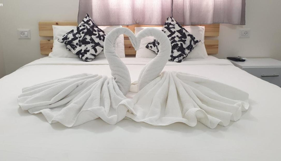 David Hameleh House主图