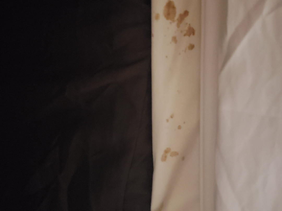 Quality Inn & Suites主图