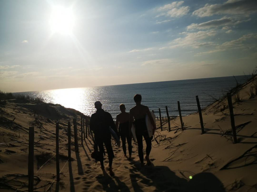 Magic Surf School景点图片