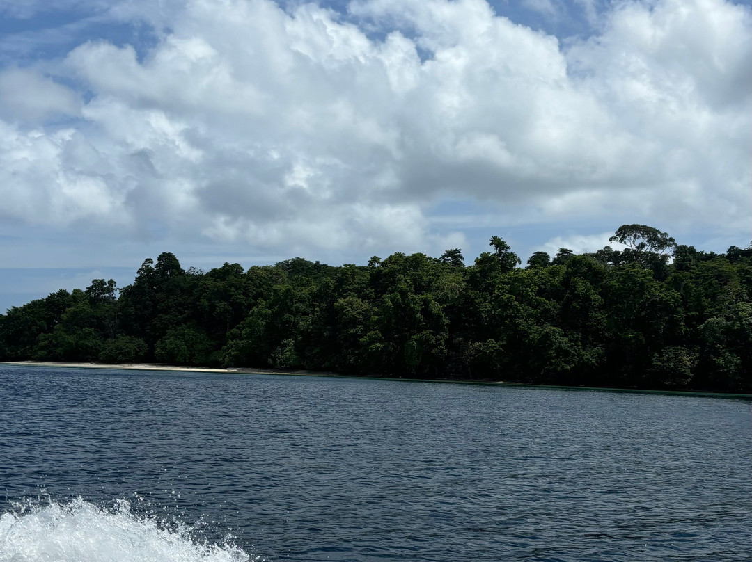 Captain Hook’s-哈夫洛克岛必去景点