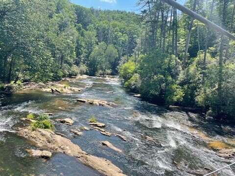 Toccoa River Swinging Bridge景点图片
