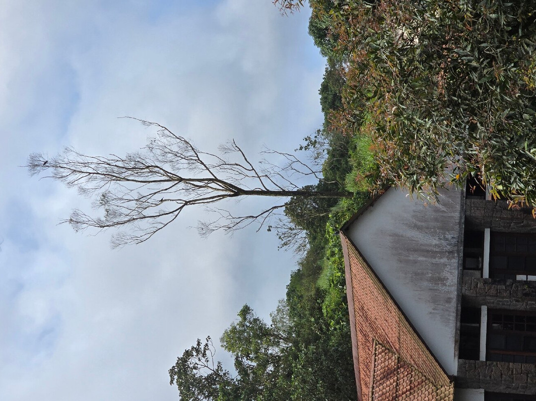 Adrak Summer Sand Hill Resort主图