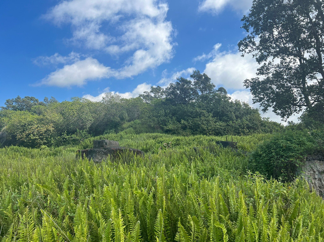 Hawai'i Volcanoes National Park Kahuku Unit-纳勒胡必去景点