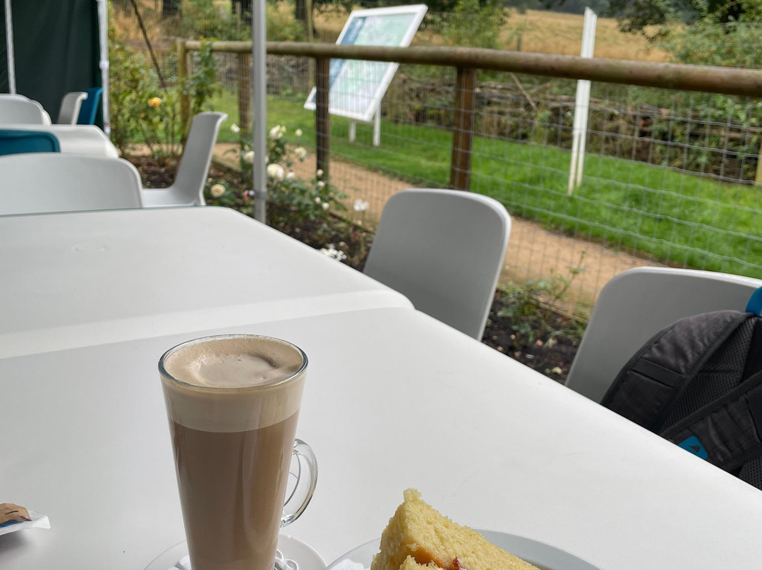 Hagley Park And Visitor Centre-Hagley必去景点