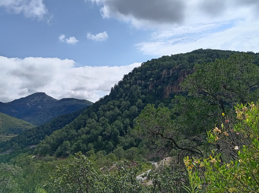 Los Cardos Adventure Park-Jerez de Garcia Salinas必去景点