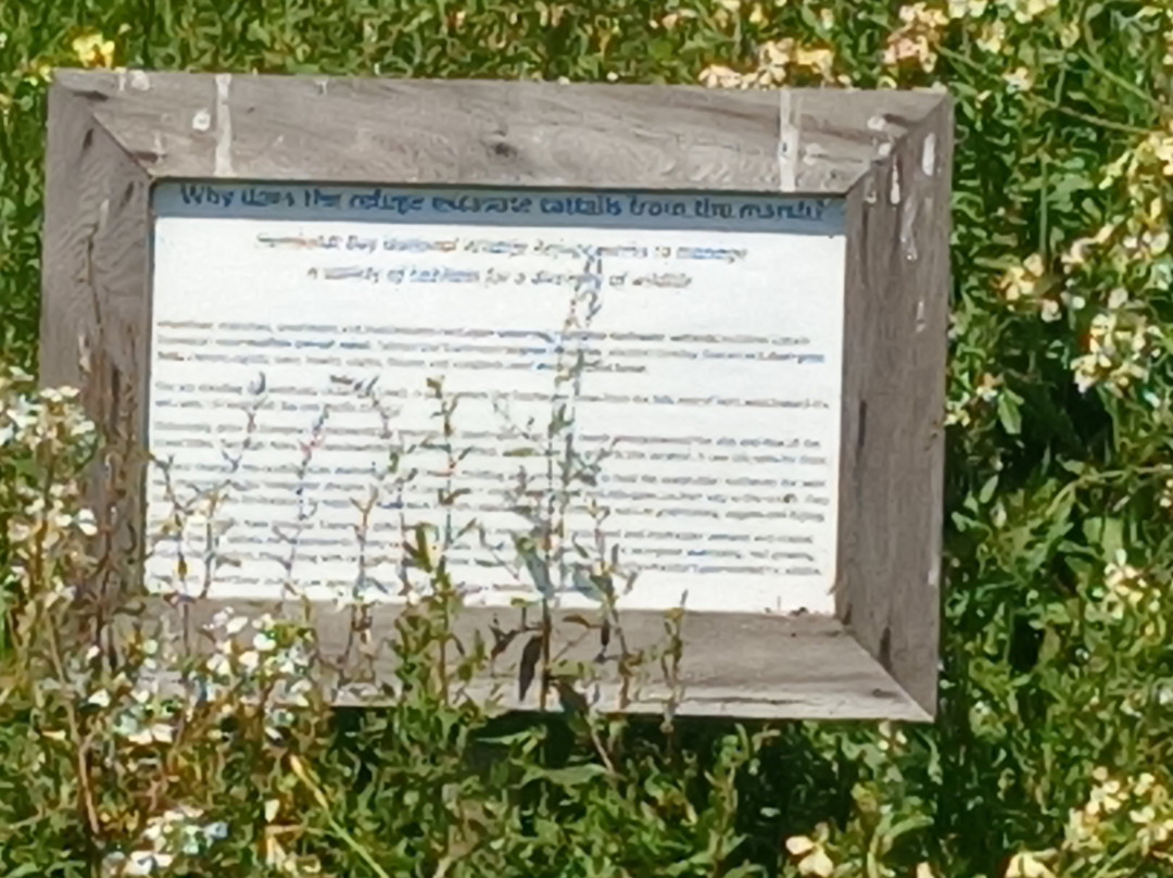 Humboldt Bay National Wildlife Refuge Complex景点图片