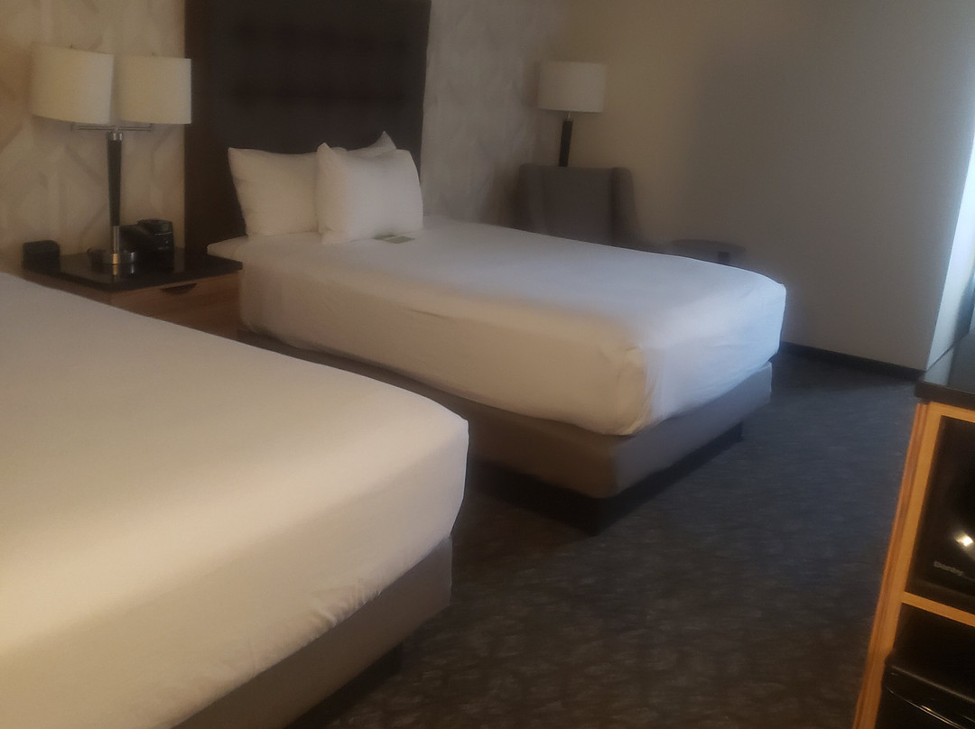 Drury Inn & Suites St. Louis Southwest主图