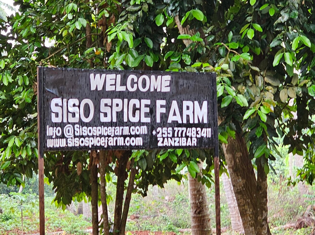 Siso Spice Farm景点图片