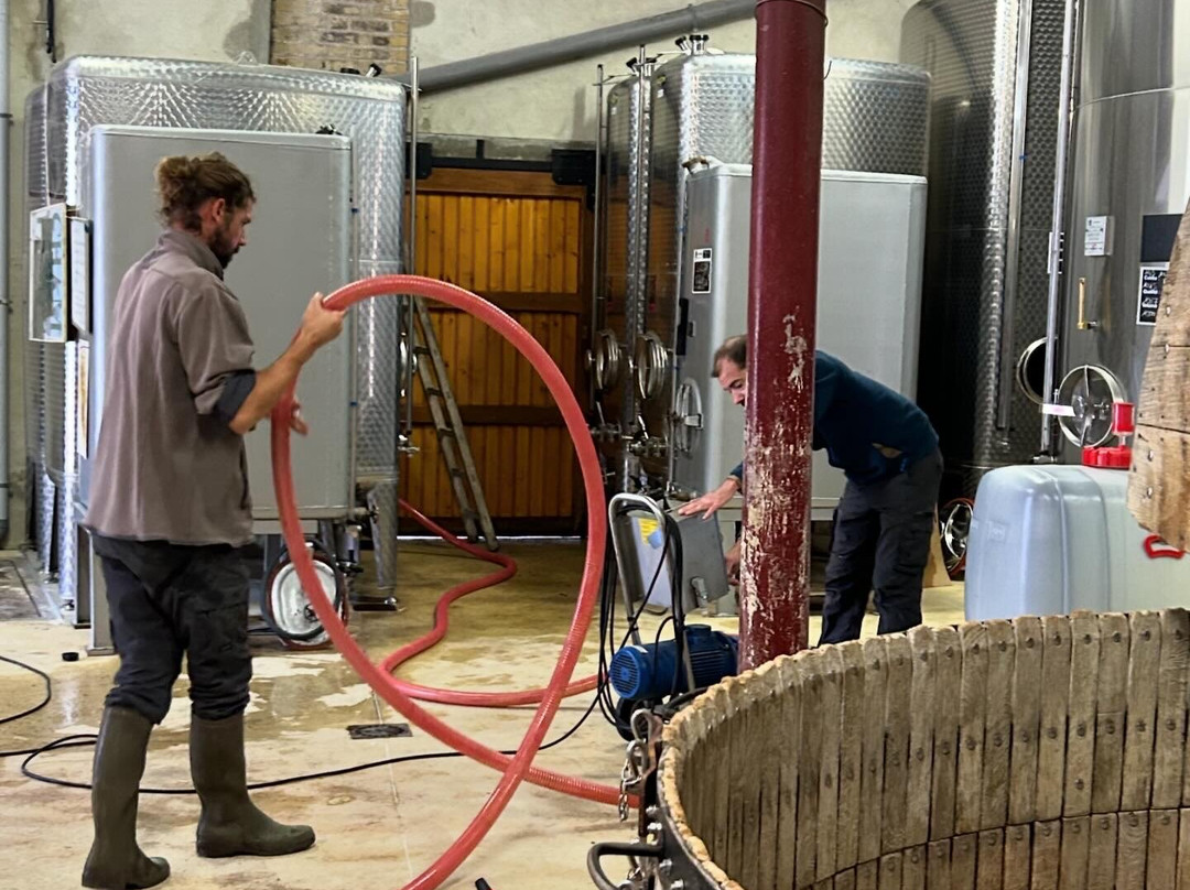 Champagne Redon-Trepail必去景点