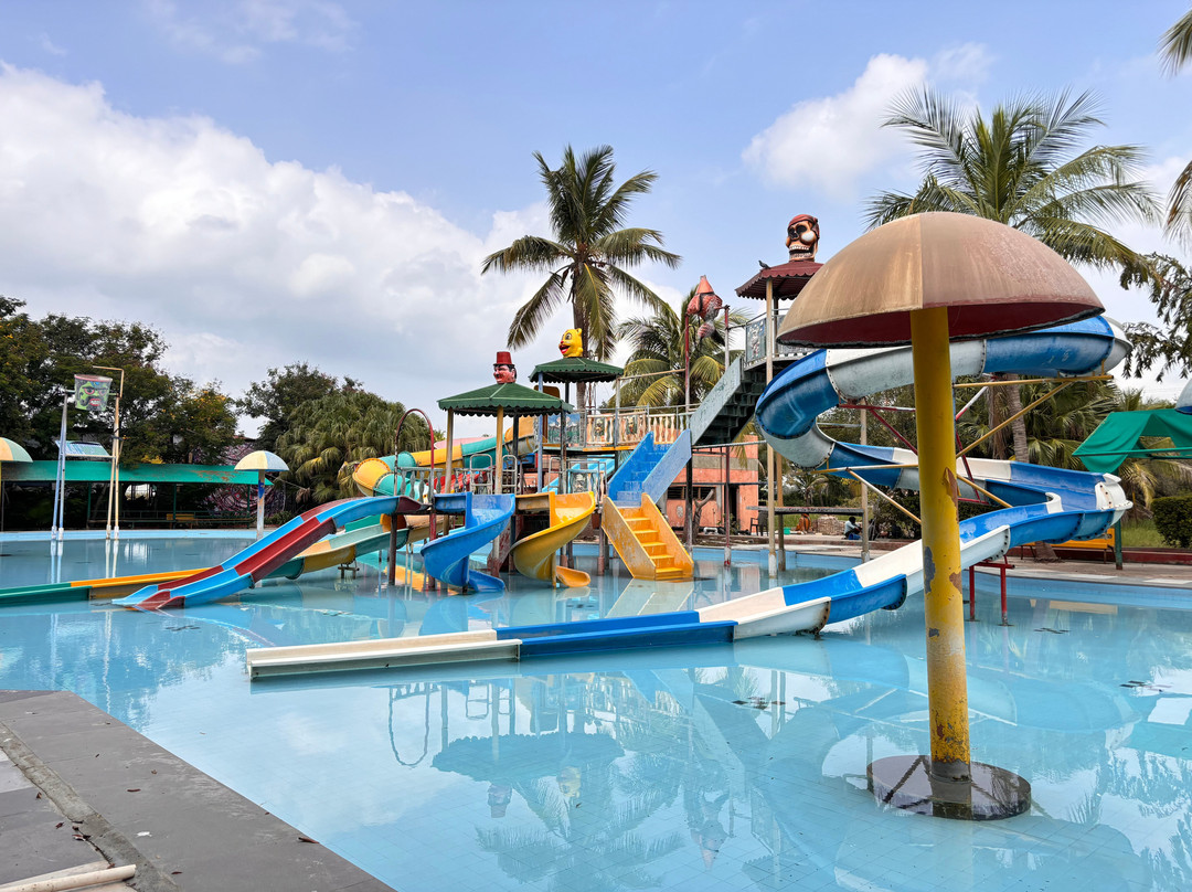 Palm Green Club主图