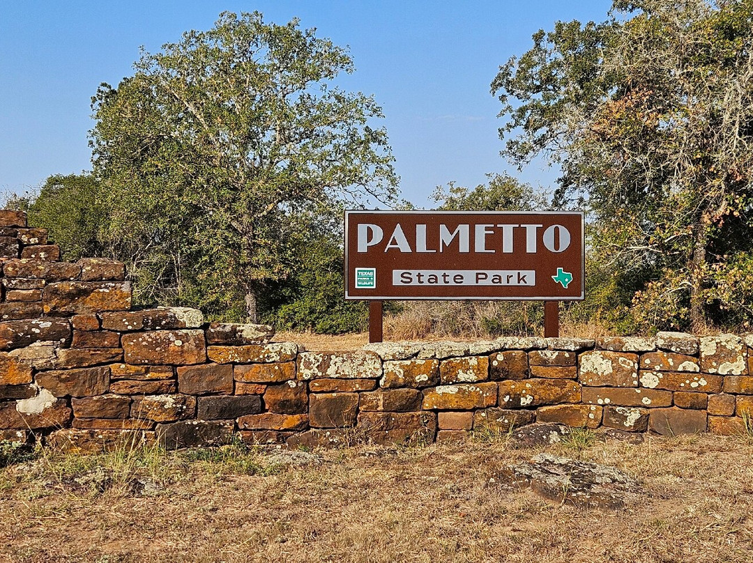 Palmetto State Park景点图片
