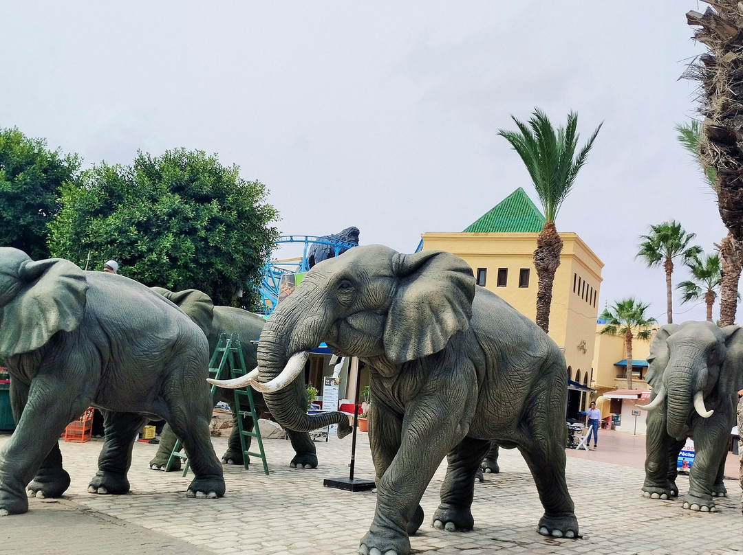 Medina Mediterranea-Yasmine Hammamet必去景点
