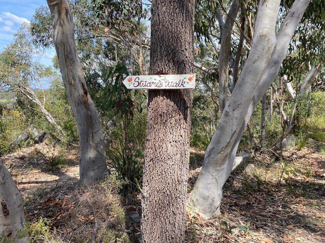 Swami's Yoga Retreat主图