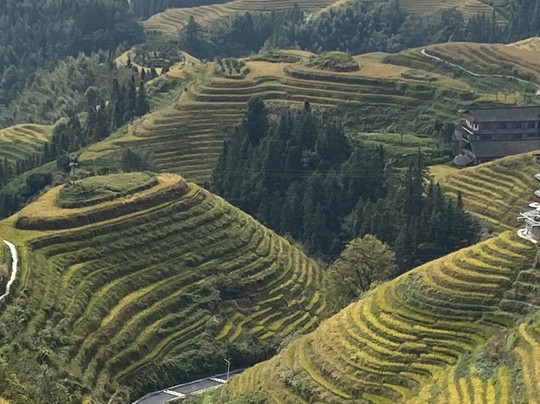查尔斯桂林旅游-桂林市必去景点