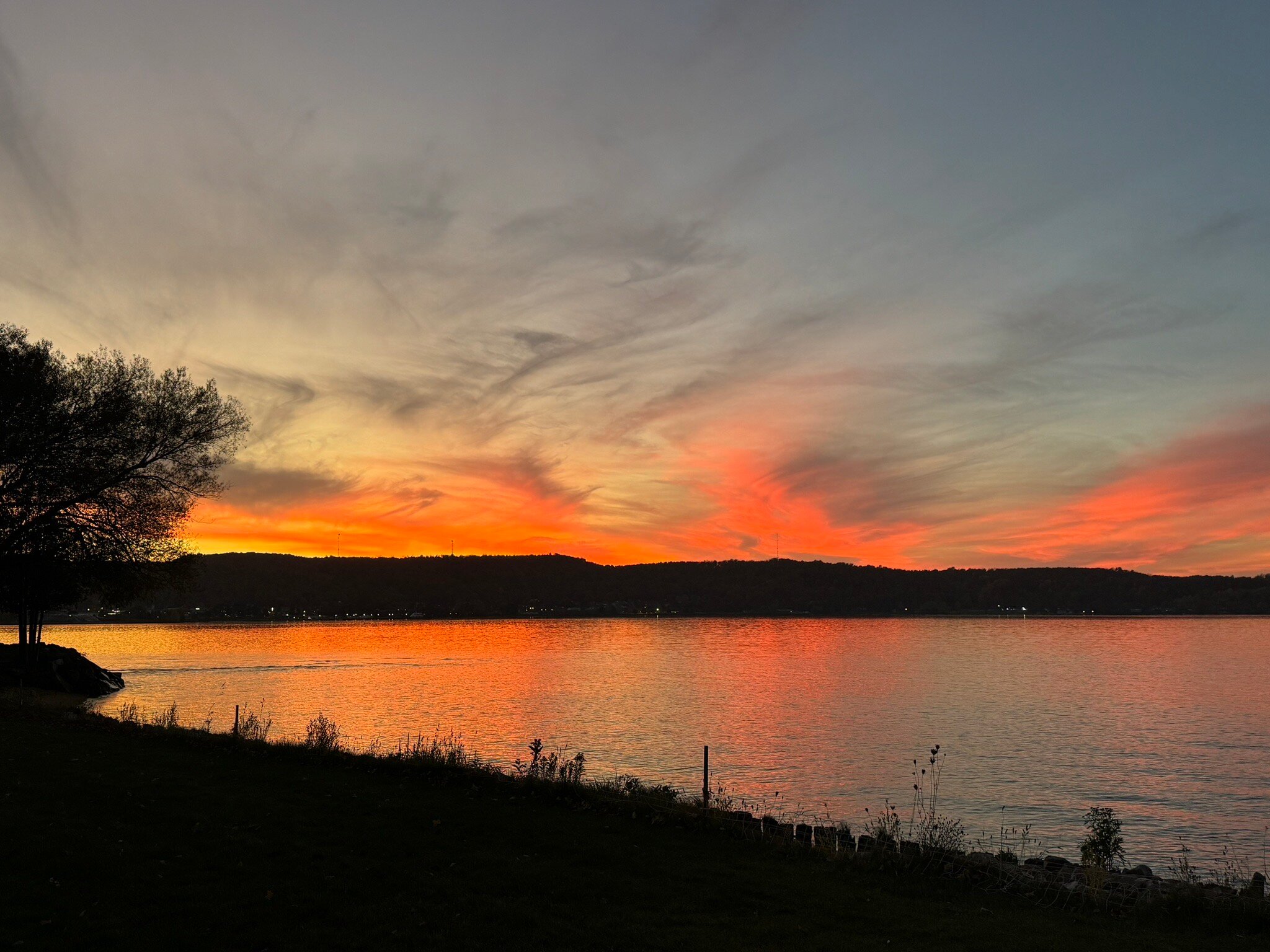 Comfort Inn & Suites-官方