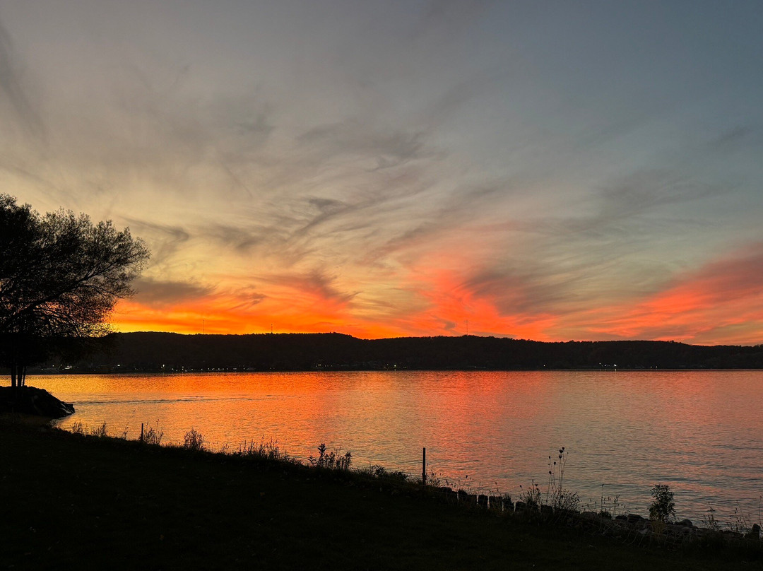 Comfort Inn & Suites主图