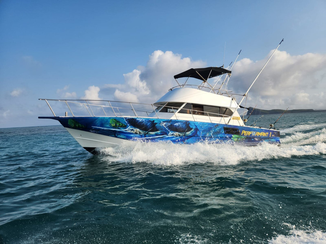 Le Performant Sport Fishing景点图片