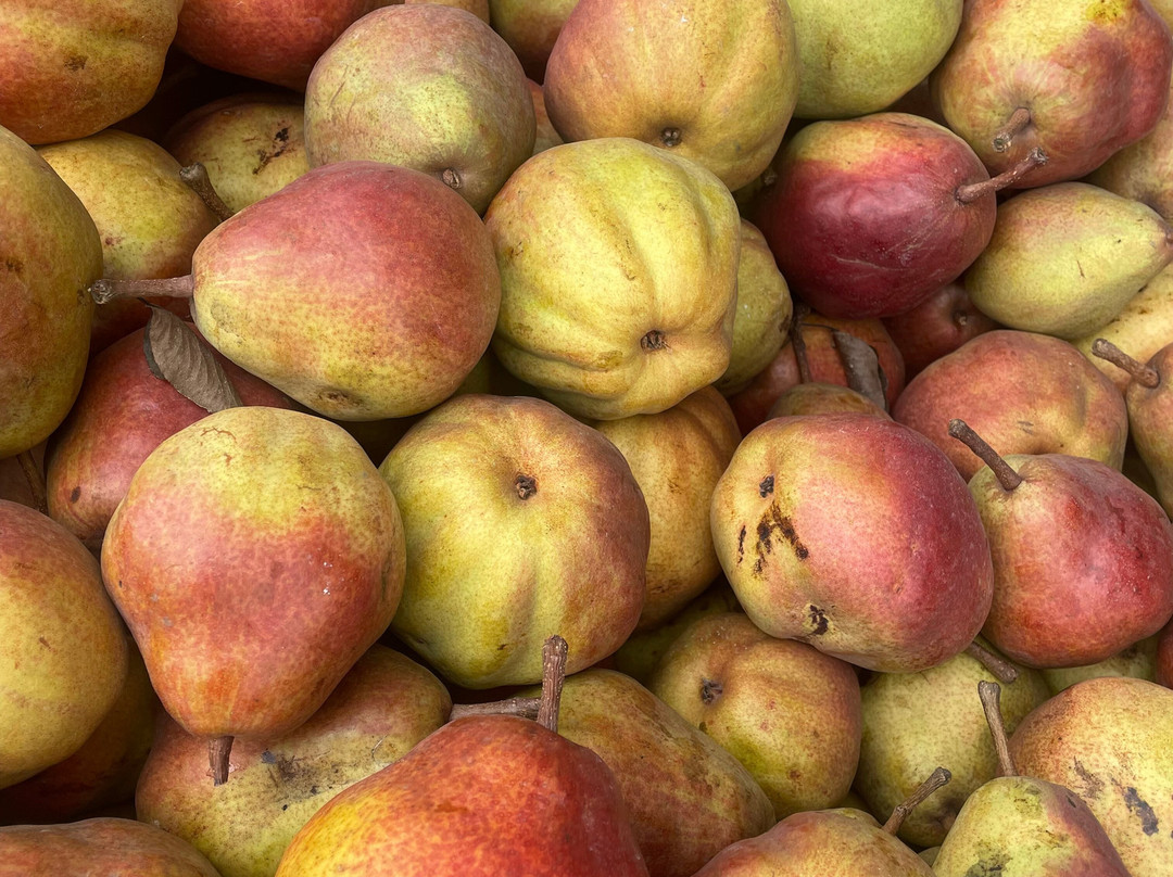 Smiley's Red Barn-胡德里弗必去景点