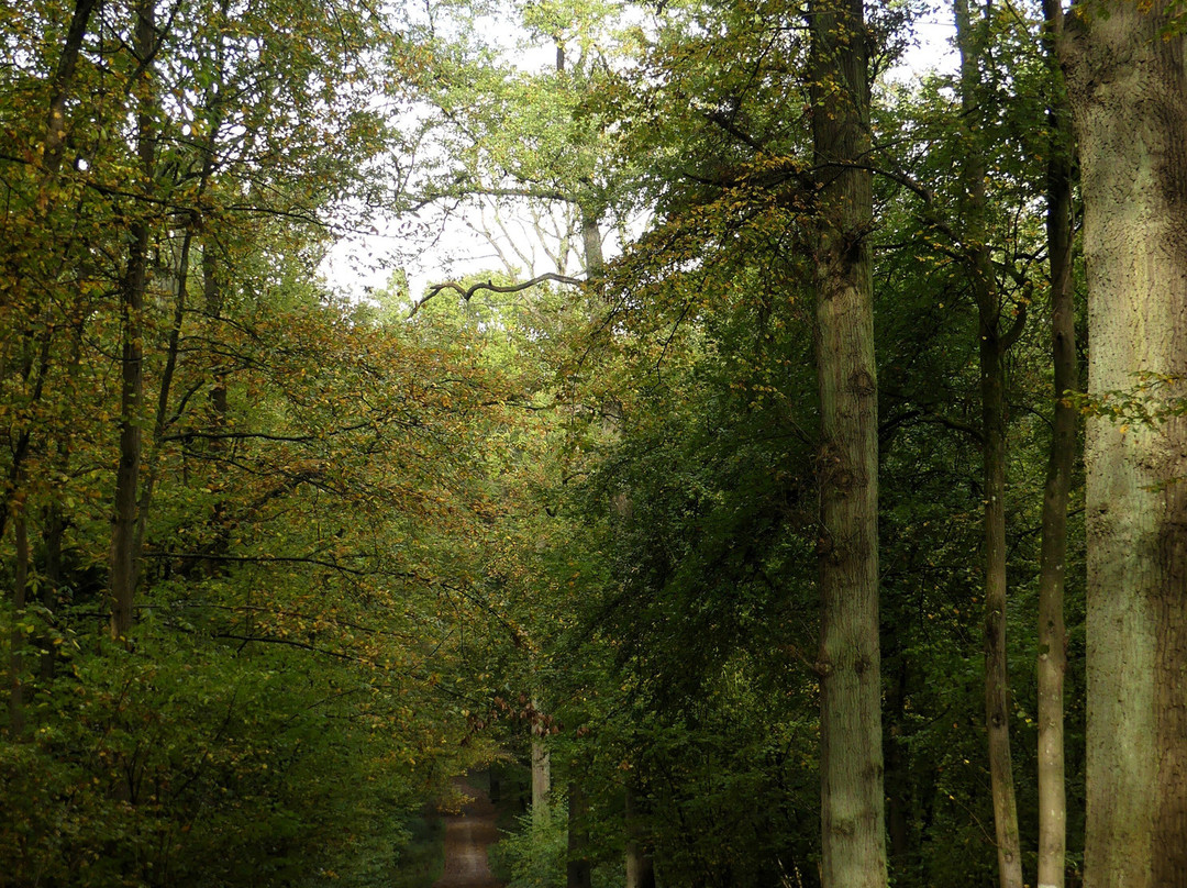 Forêt d'écouen景点图片